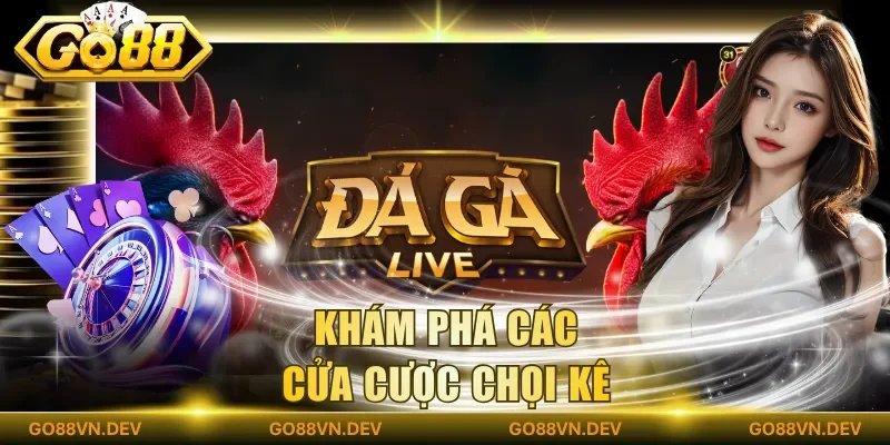 Khám phá các cửa cược chọi kê Khám phá các cửa cược chọi kê