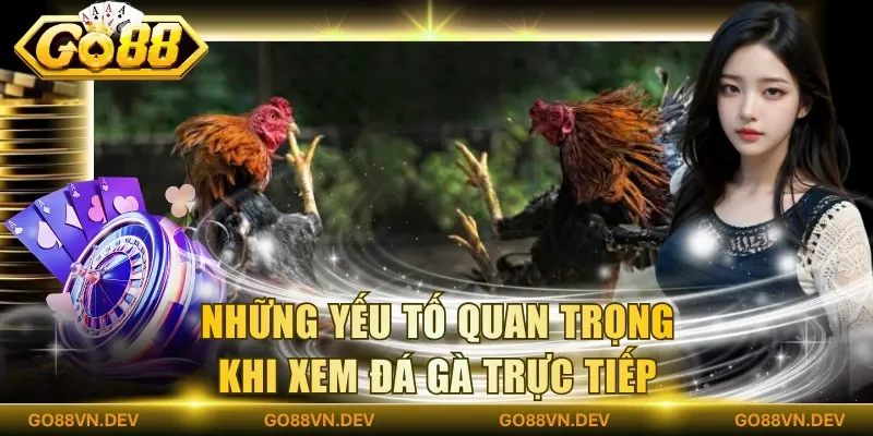 Những yếu tố quan trọng khi xem đá gà trực tiếp Những yếu tố quan trọng khi xem đá gà trực tiếp