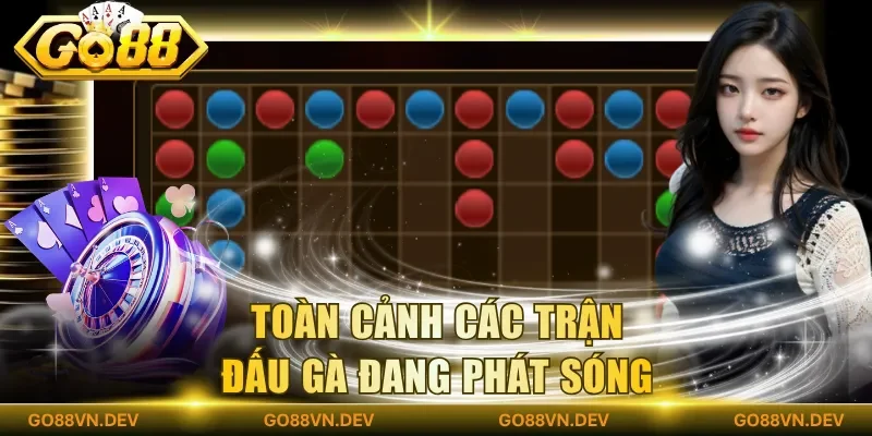Toàn cảnh các trận đấu gà đang phát sóng Toàn cảnh các trận đấu gà đang phát sóng