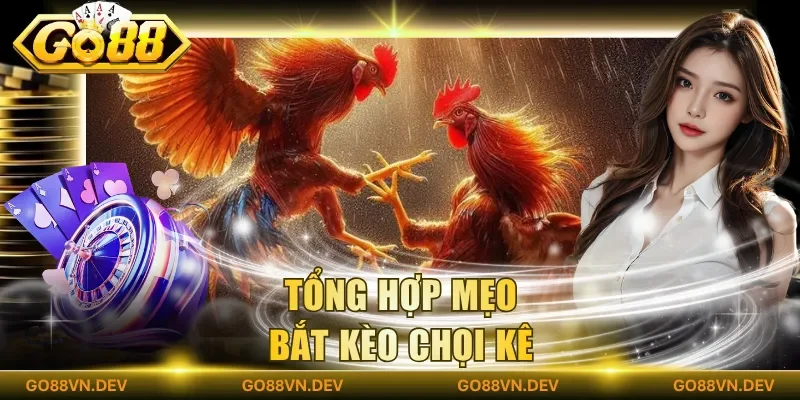 Tổng hợp mẹo bắt kèo chọi kê Tổng hợp mẹo bắt kèo chọi kê